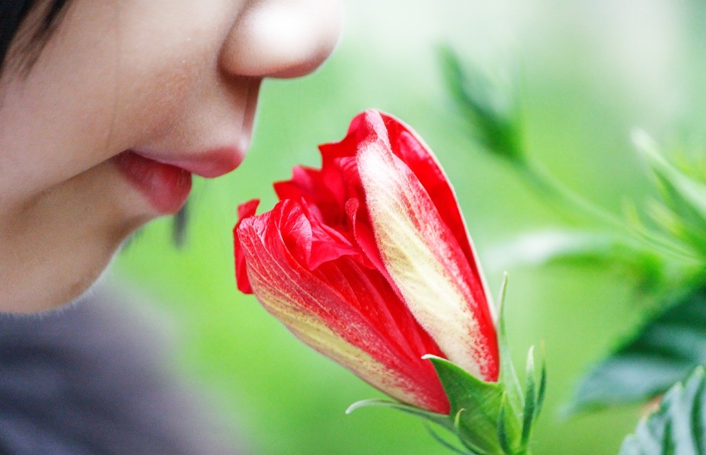 Marketing olfativo: los aromas que aumentarán tus ventas